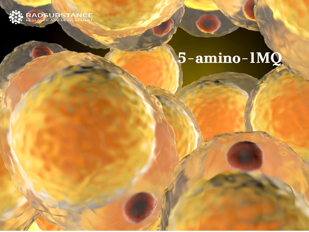 5-amino-1MQ